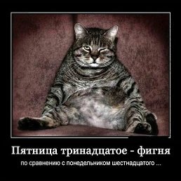 �����, ���������, 51 ���