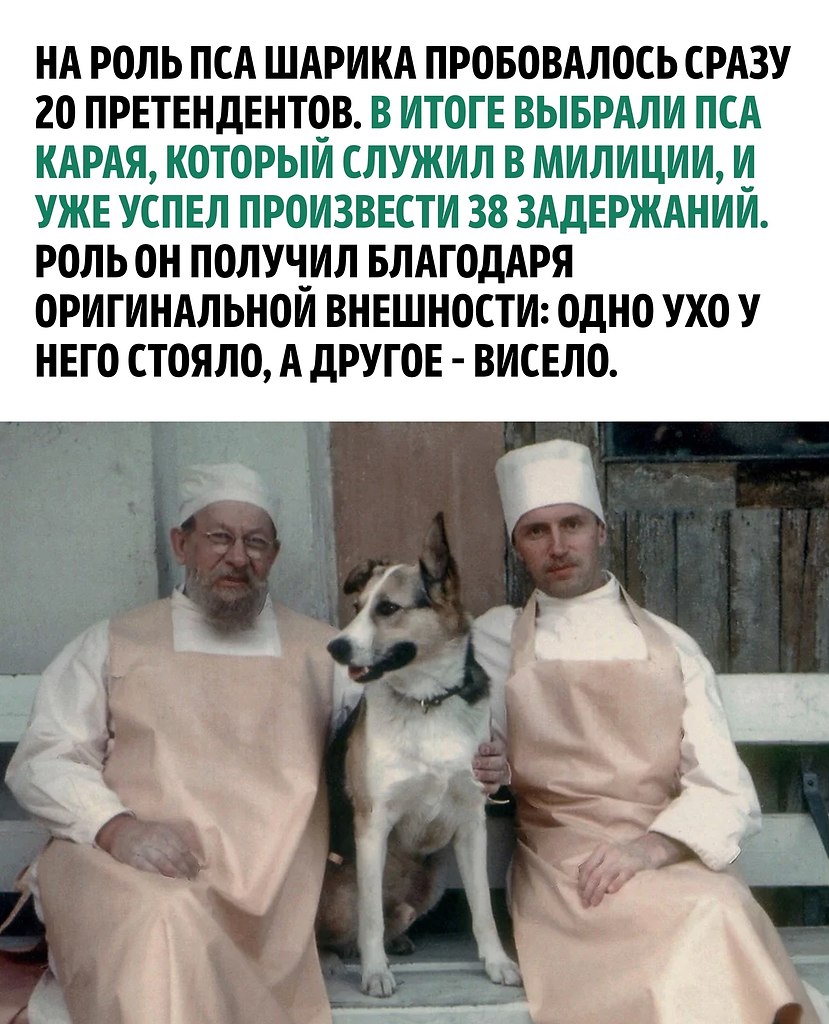          20 .     ... - 2