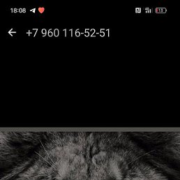 ���, ������ ��������, 22 ����