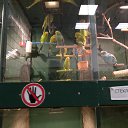 ���� Kaspersky, ������, 36 ��� - ��������� 14 ������ 2026 � ������ ������������ ������� 2025�