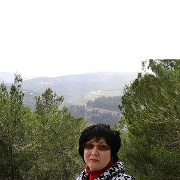 , 54, 