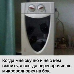 ����, ���������, 46 ���