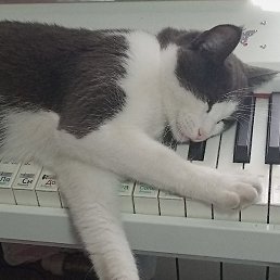 �����, ����, 34 ����