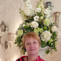 , 53, 