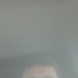 , 42, 