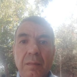 , 57, 