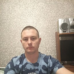 , 31,  