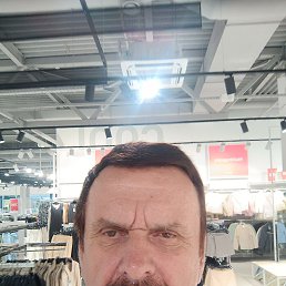 , 65, 