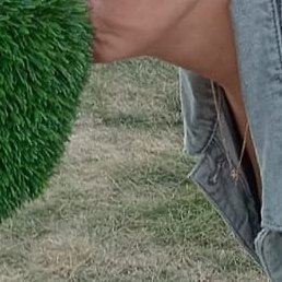 , , 51 