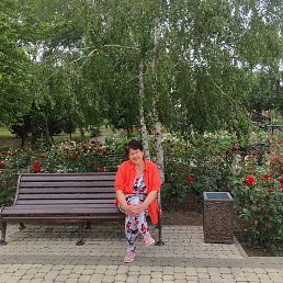 , 61, 