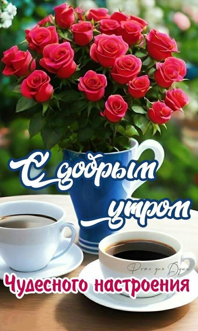  - 3  2025  06:54