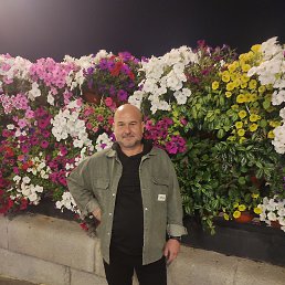 �����, 50 ���, �������