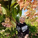 ���� ����, �����������, 71 ��� - ��������� 24 ����� 2024 � ������ ���� ����������