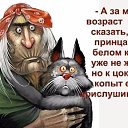 ���� ������, ���������, 61 ��� - ��������� 20 ������� 2025 � ������ ���� ����������