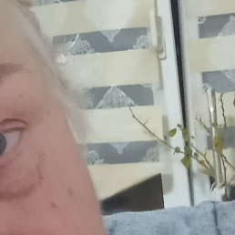 ����, ����, 60 ���