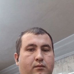 , 29, 