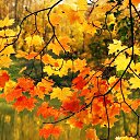 ���� �����, ���������� - ��������� 21 ������ 2023 � ������ ������ ��������