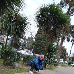 �������, ���������, 47 ���