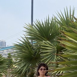 , 55, -