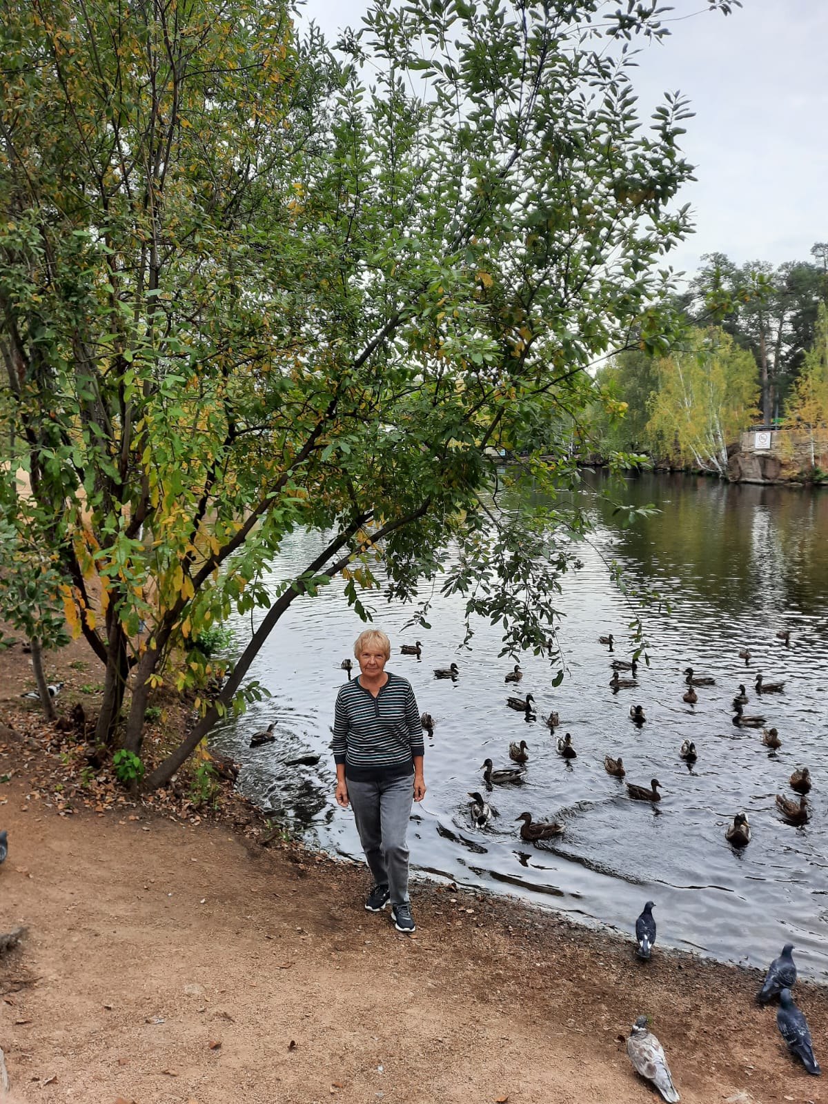   :  ,  ,  -  ,   -  ...