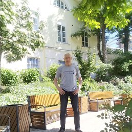 ���� ������, ������, 62 ���� - ��������� 12 ������ 2026