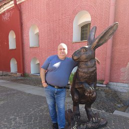 , 51 , 