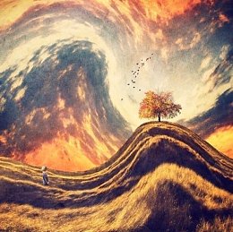 �����������