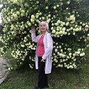 ���� ��������, �����, 67 ��� - ��������� 10 ���� 2025 � ������ ���� ����������