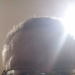  , 49, 