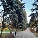 ���� �������, ��������� - ��������� 17 ������� 2025 � ������ ���� ����������