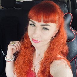 ���� �������, ������ ��������, 41 ��� - ��������� 31 ������ 2026