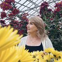 ���� �������, ���������, 50 ��� - ��������� 14 ������� 2025 � ������ ���� ����������