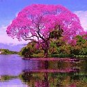 ���� ������, ��������, 104 ���� - ��������� 30 ������ 2024 � ������ ���� ����������