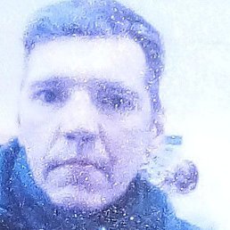 ����, ������, 49 ���