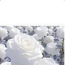 ���� �������, ��������, 60 ��� - ��������� 1 ������� 2024 � ������ ���� ����������