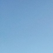 �������, 49 ���, ������