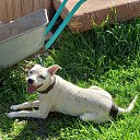 ���� �����, ��������, 47 ��� - ��������� 18 ���� 2025