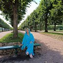  ,  -  5  2025       ,    ,     .