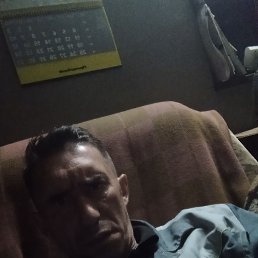 , 44, 