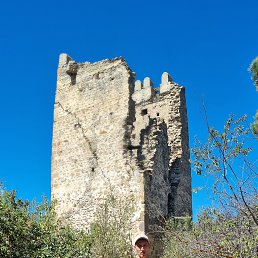 ���� �������, ���������, 45 ��� - ��������� 8 ������� 2024