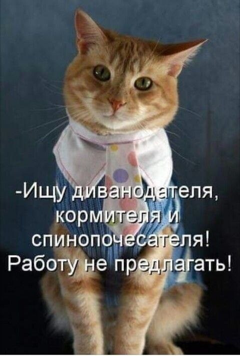 Jana �������!!! - 17 ������� 2026 � 13:52