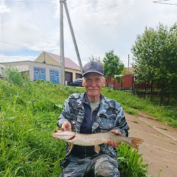 , 61 , 