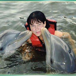 ����, ���������, 65 ���