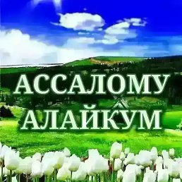 ���� ����, �������, 40 ��� - ��������� 4 ������ 2023