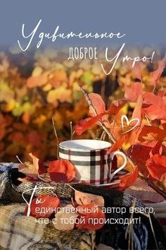 24 ноября. Пятница. Доброе утро! Пусть прекрасное настроение сопровождает вас сегодня с утра до ...