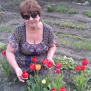 �����, , �����������