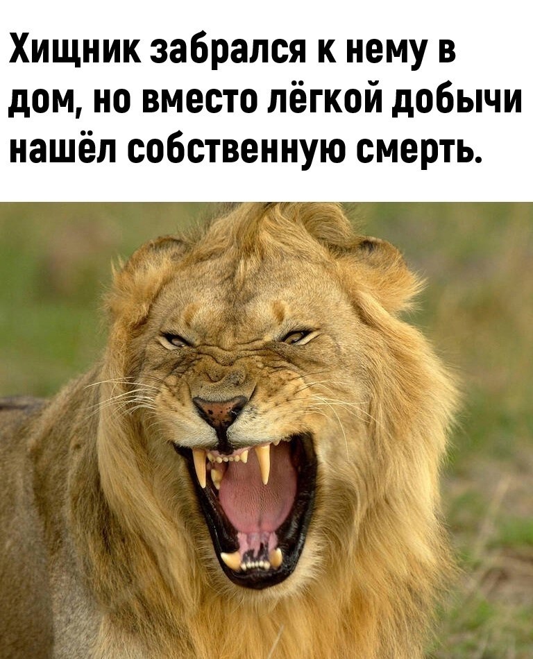    - 2