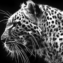 ������, ������, 47 ���