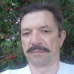 ������, �������, 56 ���