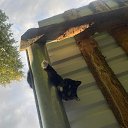 ���� ������, �������, 68 ��� - ��������� 9 �������� 2025 � ������ ������ ��������